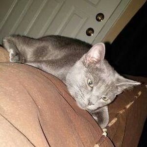 Meet your Posher, Angela